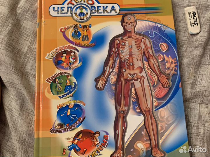 Книга про анатомию человека «Тело Человека»