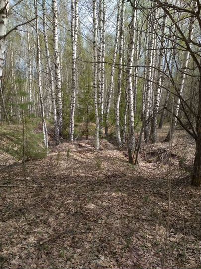 Участок 5,59 га (СНТ, ДНП)