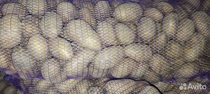 Картофель и овощи
