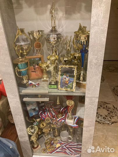 Тренер по большому теннису