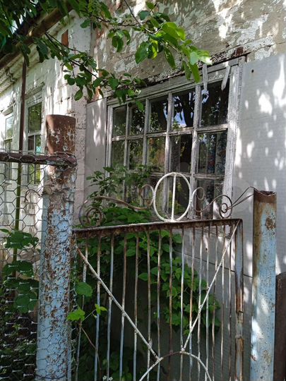 Дом 53,3 м² на участке 13 сот.