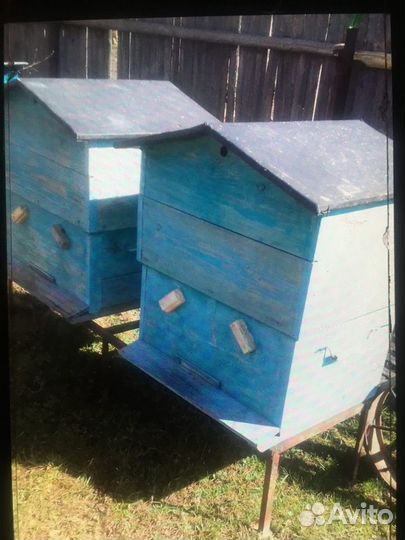 Пчелы, ульи, рамки