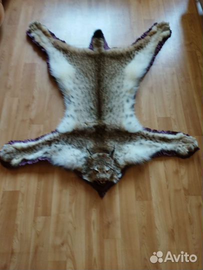 Ковёр из рыси