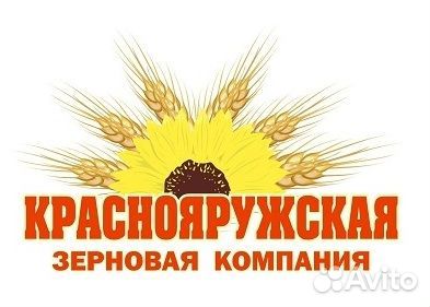 Развозчик обедов