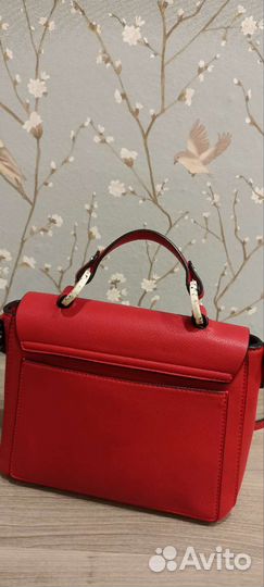 Самка Zara