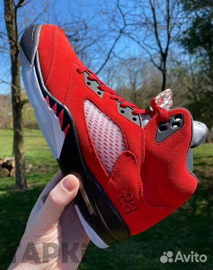 Nike Air Jordan 5 Toro Bravo