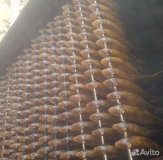 Барабуля копченая