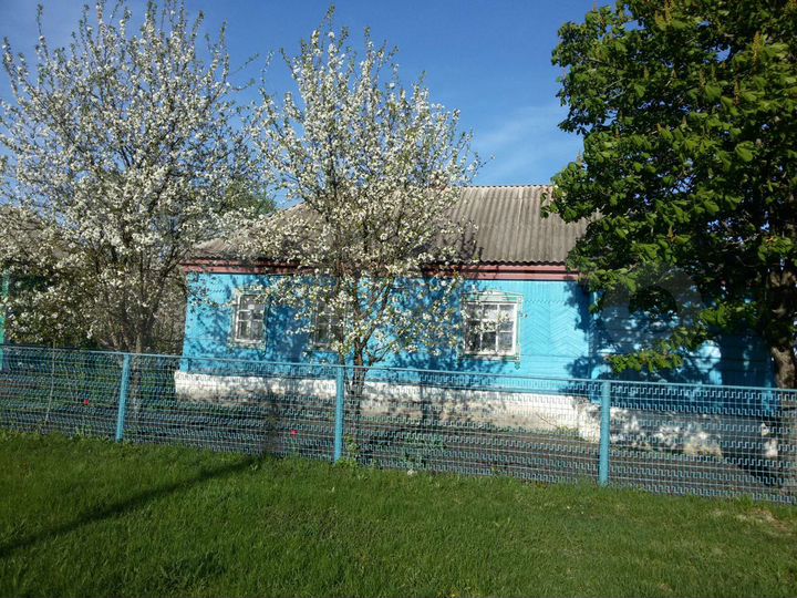 Дом 56 м² на участке 55 сот.