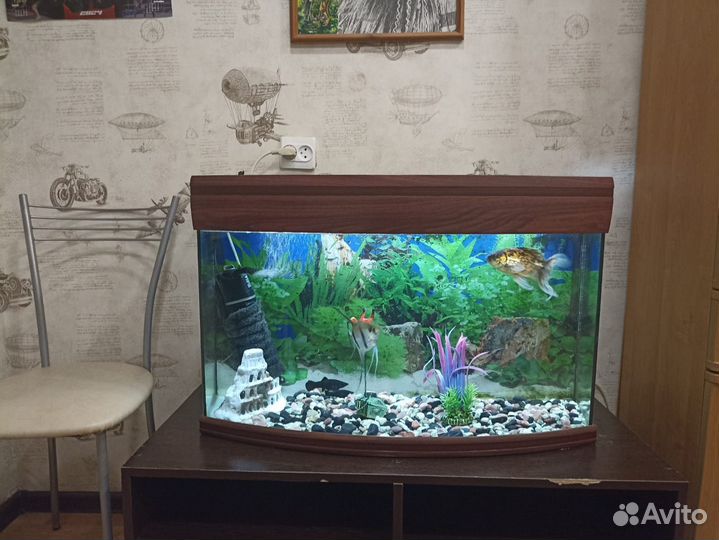 Аквариум на 140 литров
