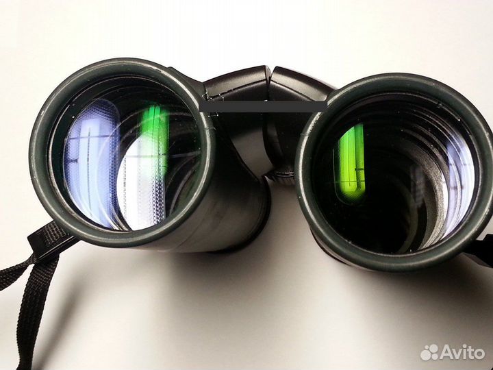 Бинокль Nikon Sporter EX 10x42
