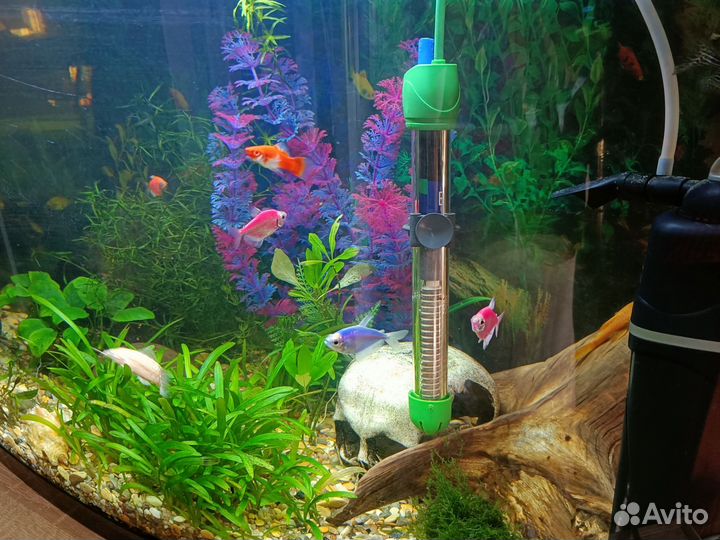 Аквариум