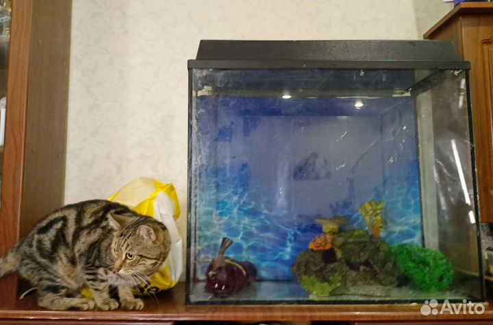 Аквариум 130 литров