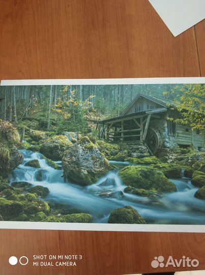 Принтер epson l800