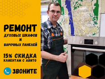 Ремонт духовых шкафов Ремонт варочных панелей