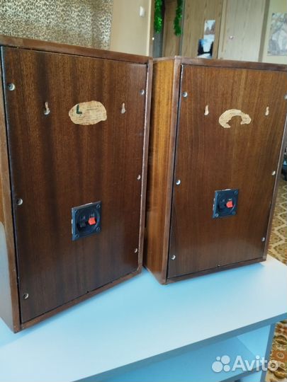 Колонки Романтика 10 Ас 207