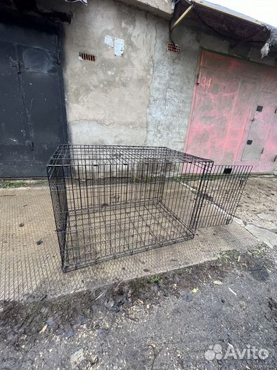 Клетка 122/84/78