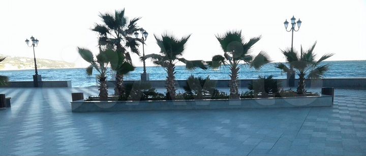 Общепит, 259.5 м²