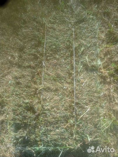 Сено клевер, разнотравье