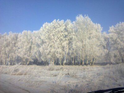 Участок 6 сот. (СНТ, ДНП)