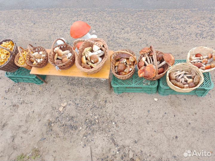 Грибы сушеные, белые, подосиновики, опята, лисички