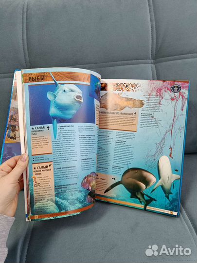 Книга рекордов гиннесса