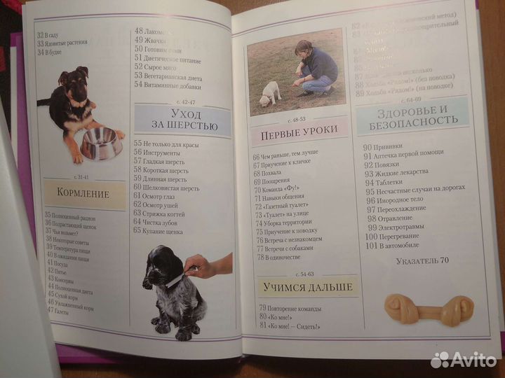 Щенки. Уход и содержание