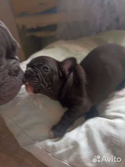 Одинокий мужчина желает познакомиться