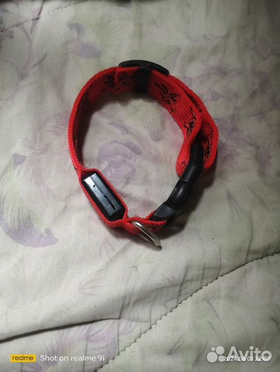 Ошейник для собак