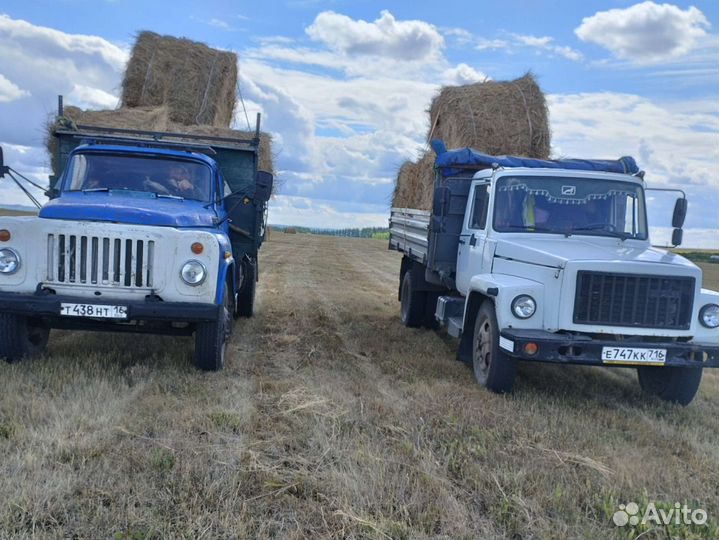 Сено солома 2023 180 и 145