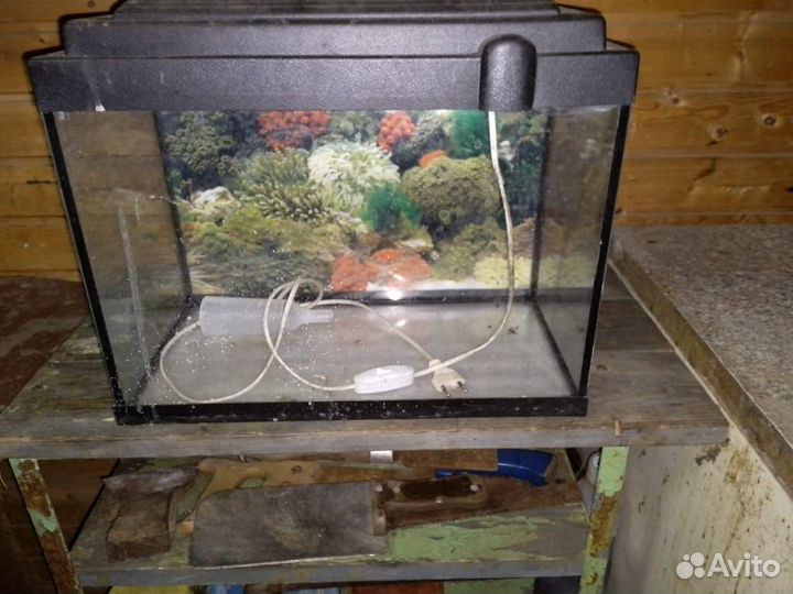 Аквариум