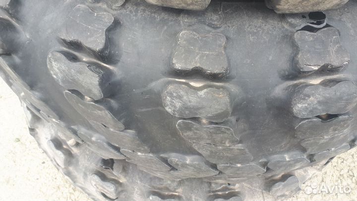 Шины на сокол