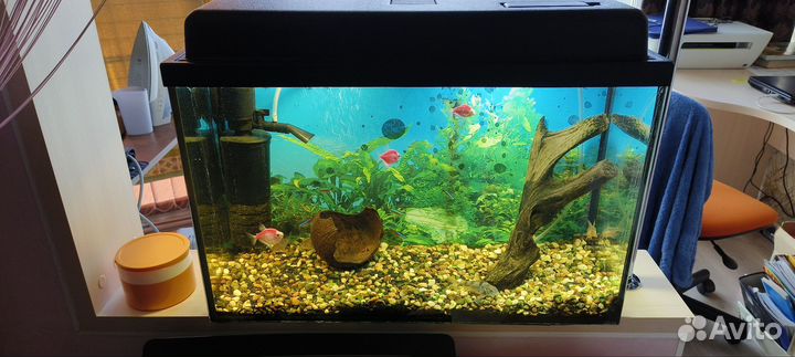 Аквариум с рыбками, со всем оборудованием