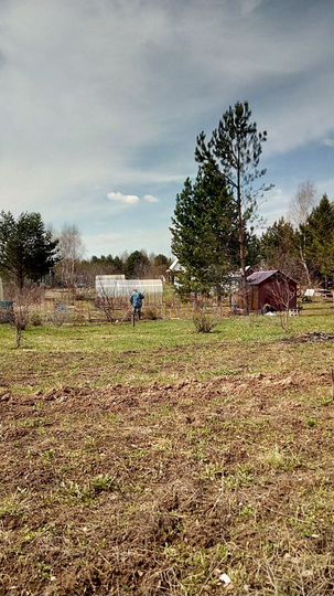 Участок 10 сот. (СНТ, ДНП)