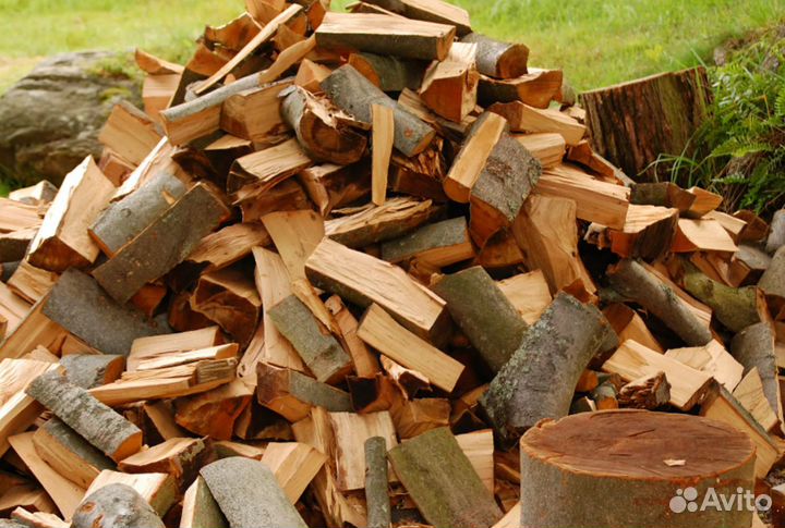 Дрова береза
