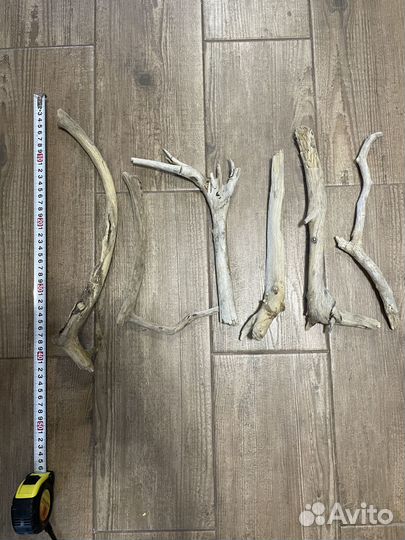 Дрифтвуд коряги набор