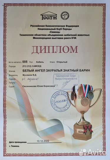 Вязка самоед