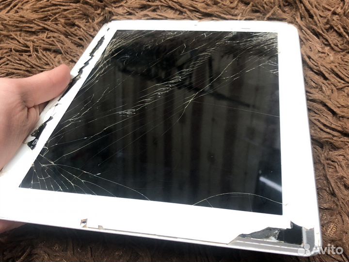 iPad
