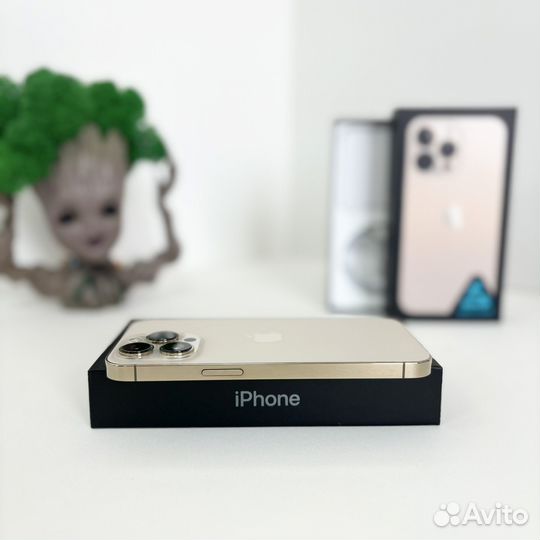 iPhone 13 Pro, 256 ГБ