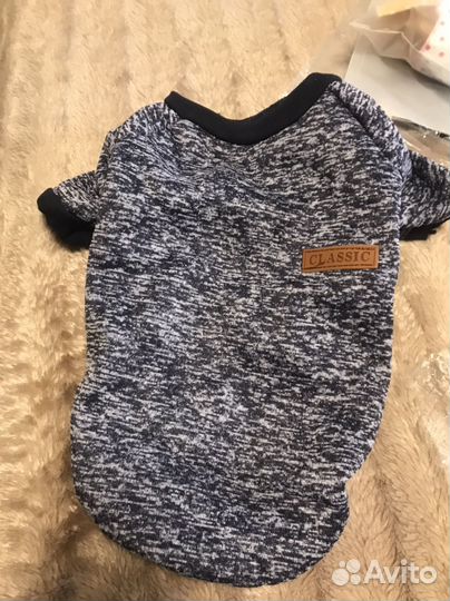 Одежда для собак