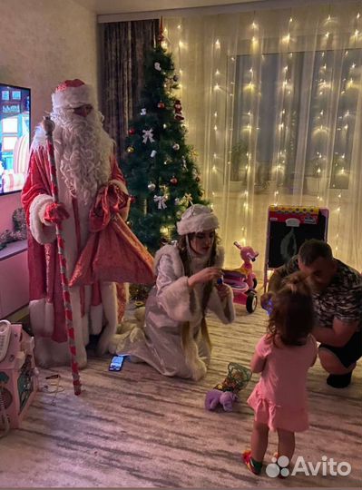 Дед Мороз и Снегурочка на дом