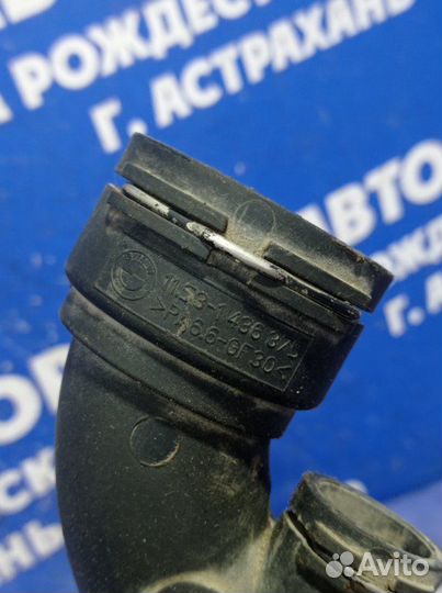 Патрубок охлаждения Bmw E53 кроссовер M54B30 2004