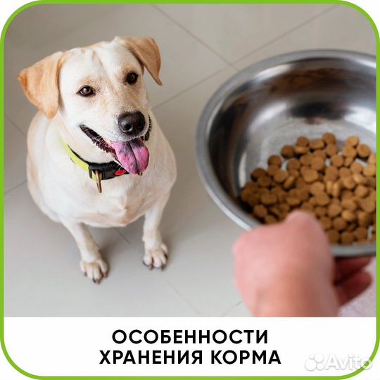 Ветеринарный врач на дом. Ветеринарная помощь