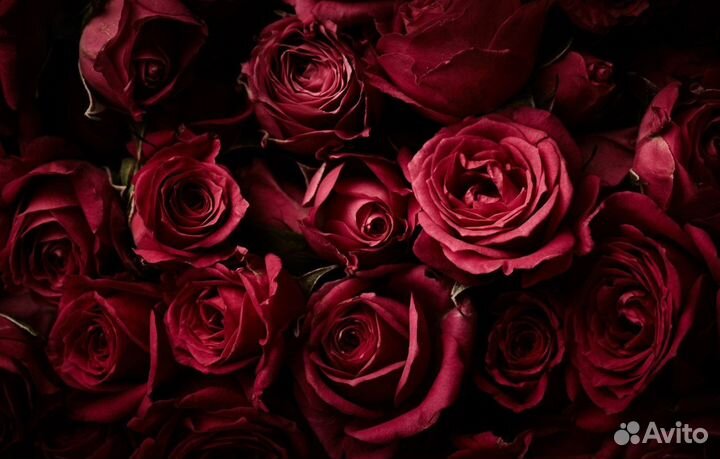 Букет из 23 красных роз (RED naomi)