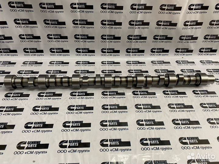 Распределительный вал (распредвал) Cummins QSL ISL