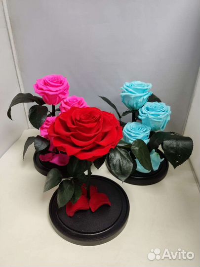 Подарок на новый год / Роза в колбе