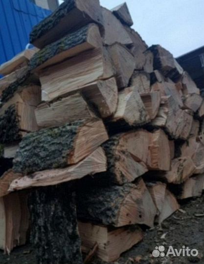 Дрова колотые дуб