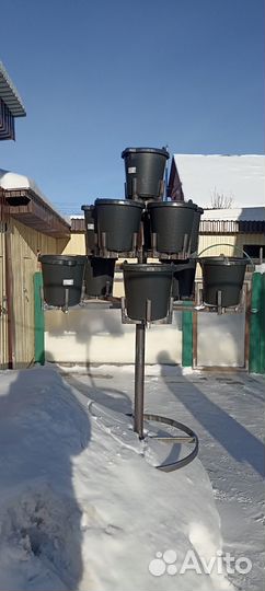 Петуньевое дерево