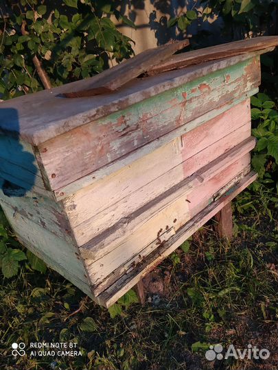 Ульи с пчелами