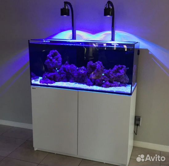 Аквариум для раков и живой рыбы