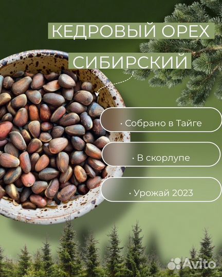 Кедровый орех